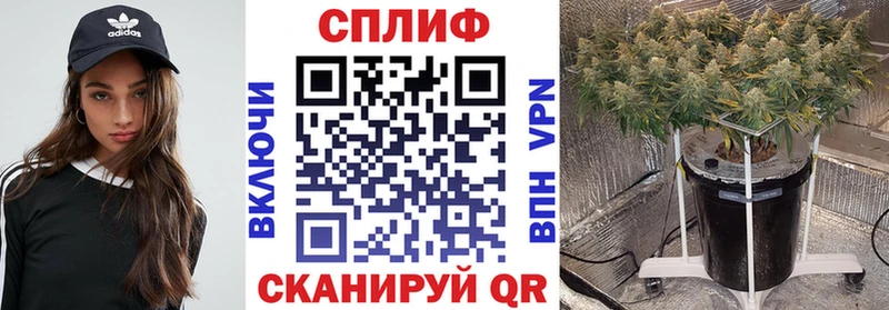 цена   Собинка  Конопля сатива 